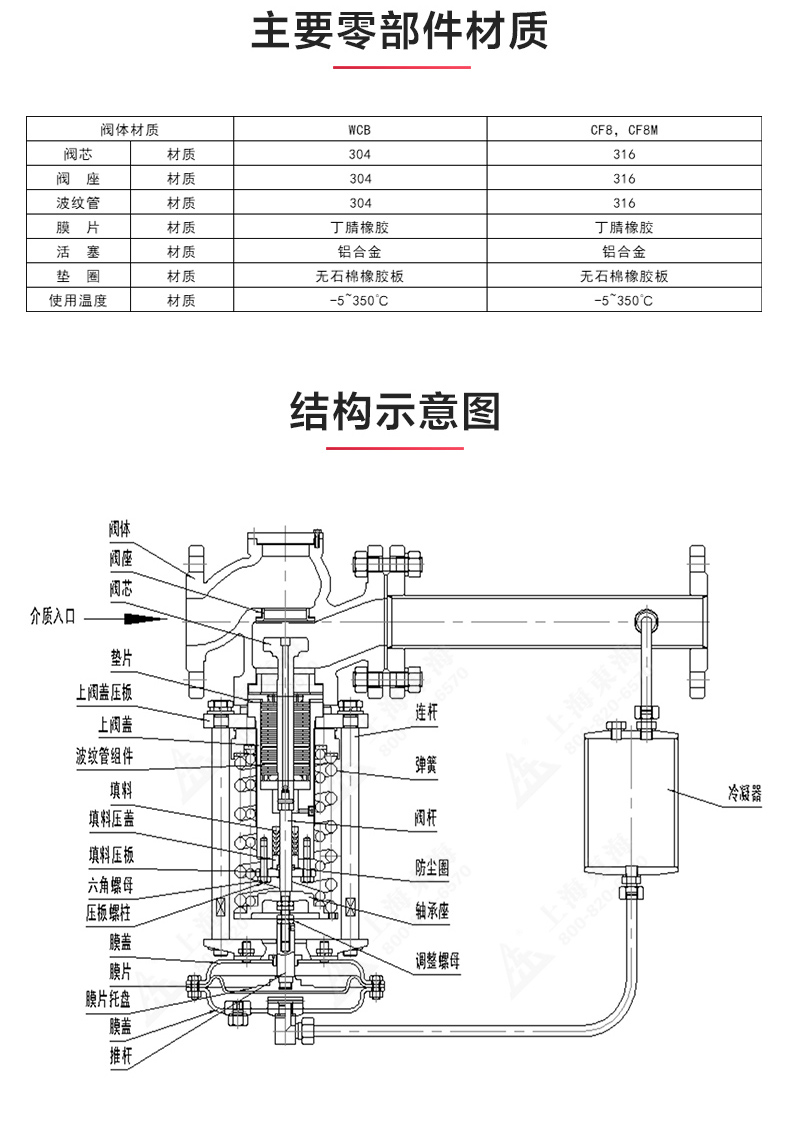 ZZYP型自立式压力乐动在线平台_产品结构图.jpg